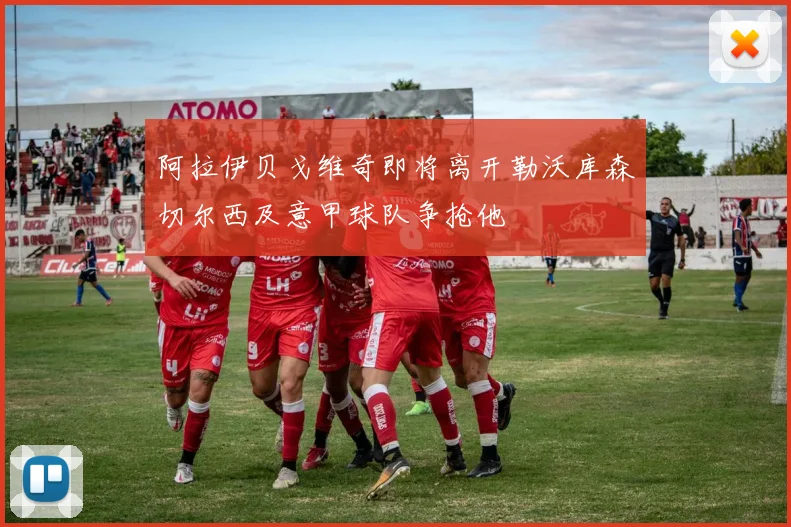 阿拉伊贝戈维奇即将离开勒沃库森切尔西及意甲球队争抢他